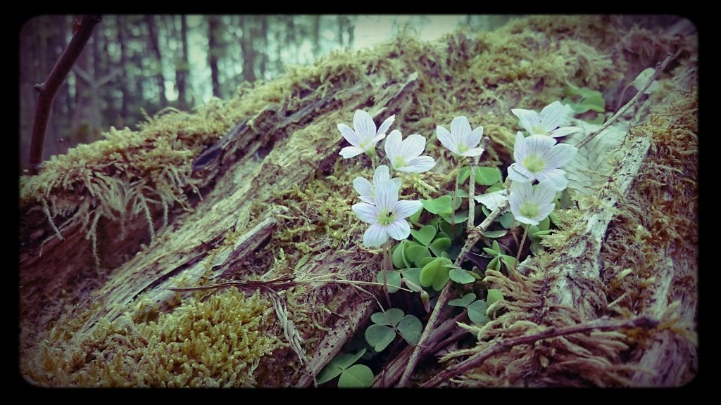 letztes jahr im sommer...